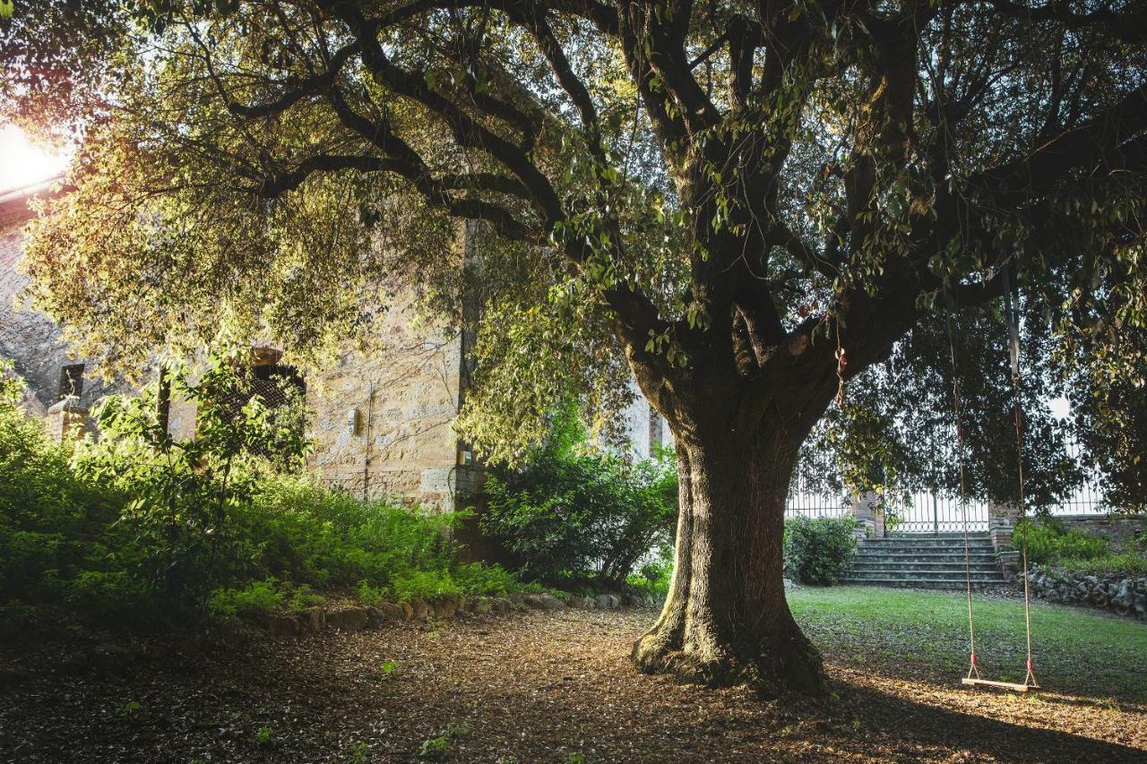 Cosona Villa Pienza Exteriör bild