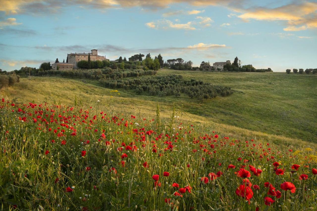 Cosona Villa Pienza Exteriör bild
